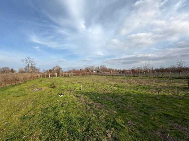 Casă cu 3 camere cu Teren 4858 Mp în Silistraru