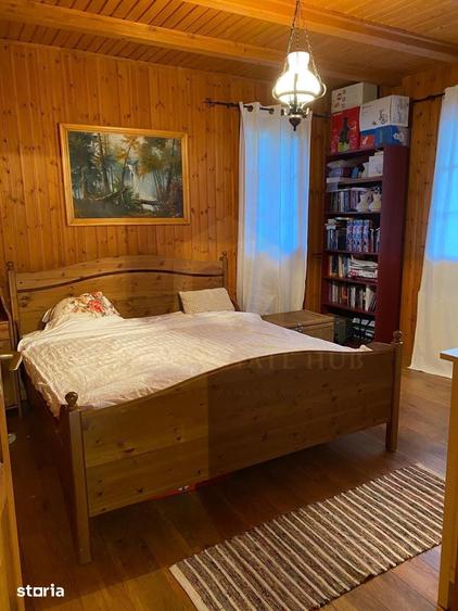 Vanzare teren 3000 mp, cabana, zona D D Rosca, Faget - 2