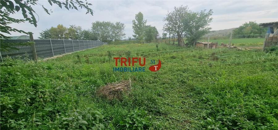 Casă individuală cu 4 camere cu Canalizare în Totoi