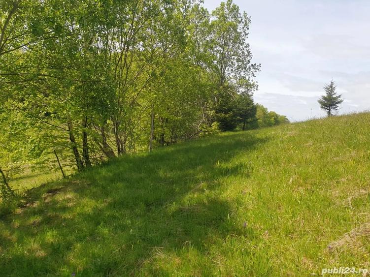 Teren de 1000 mp, în Dâmbovicioara