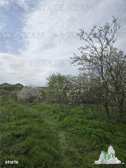 Teren de 2325 mp, în Joița