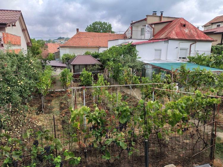 Casă cu 3 camere decomandat în Dealuri Oradea
