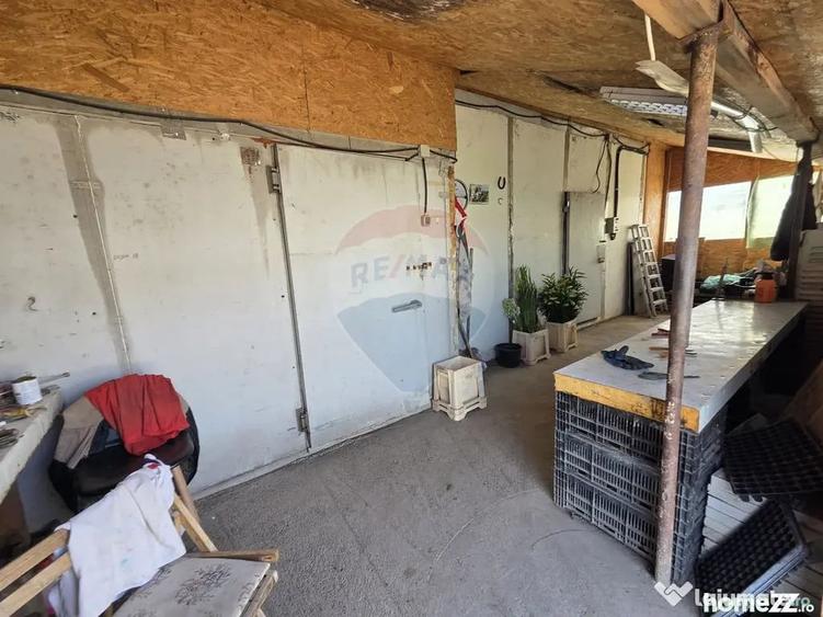 Casă cu 4 camere cu Teren 2229 Mp în Biliești