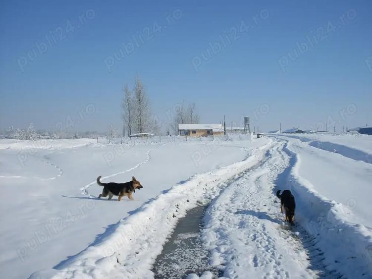 Teren de 20 mp, în Balta Sărată
