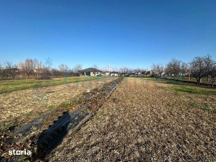 Gaminvest-Parcele de teren intravilan de vanzare, Sanmartin V3992 - 2