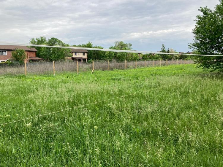Teren Construcții intravilan de 800 mp, în Corbeanca