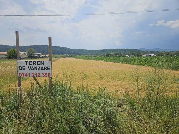 Teren de 7700 mp, în Exterior Vest