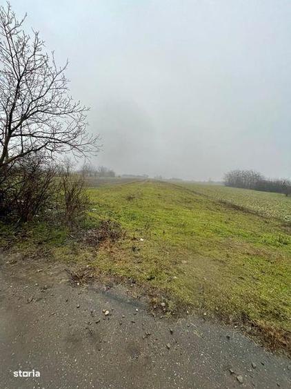 Teren de 6105 mp, în Sălciile