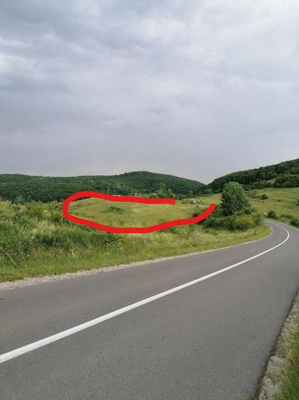 Teren de 3600 mp, în Ciurila