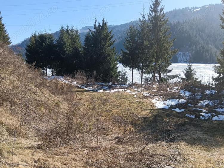 Teren de 1000 mp, în Colibița