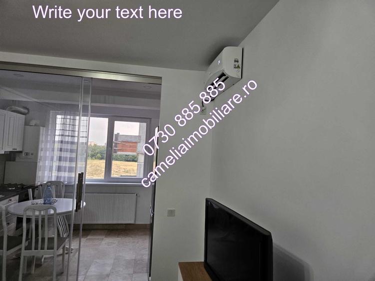 Apartament cu 2 camere semidecomandat, mobilat în Timișoara