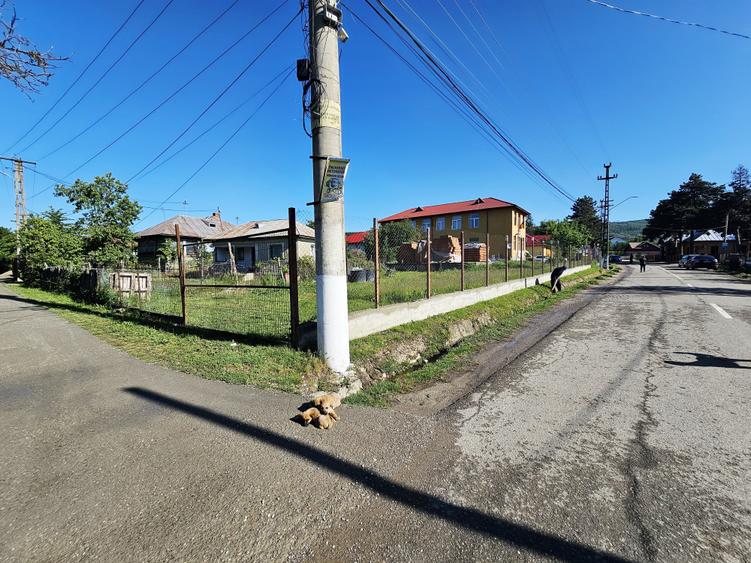Teren Construcții intravilan de 1000 mp, în Lapoș