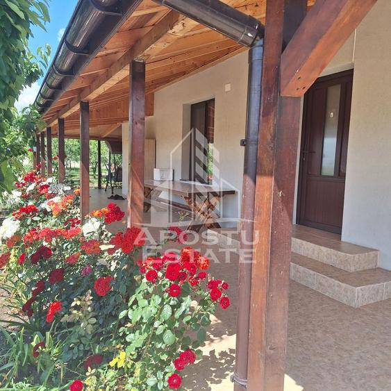 Casa individuala in Ianova,Comuna Remetea Mare - 1