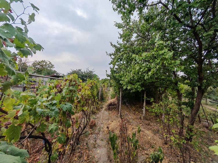 Casă individuală cu 3 camere cu Teren 950 Mp în Steaua