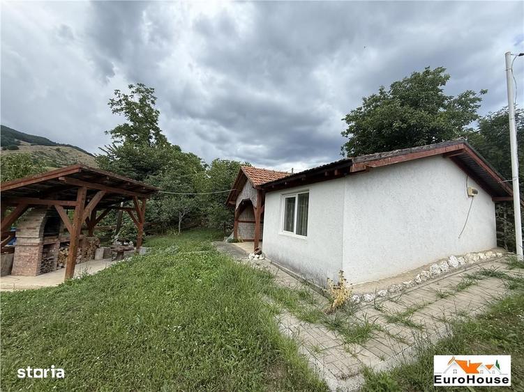 Cabana + Teren De Vanzare La 14Km De Alba - 8