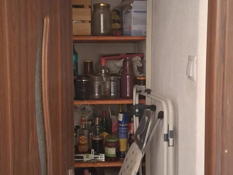 Teiul Doamnei, Colentina, Circa 7 politie - 12