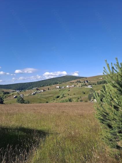 Casă cu Teren 1300 Mp în Măguri