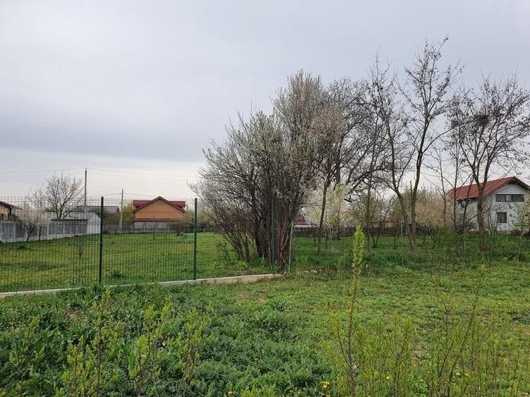 Teren Construcții intravilan de 2000 mp, în Bâldana