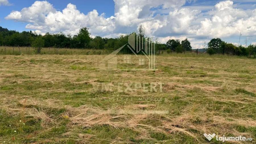 Casă cu 3 camere cu Teren 6997 Mp în Bughea de Sus