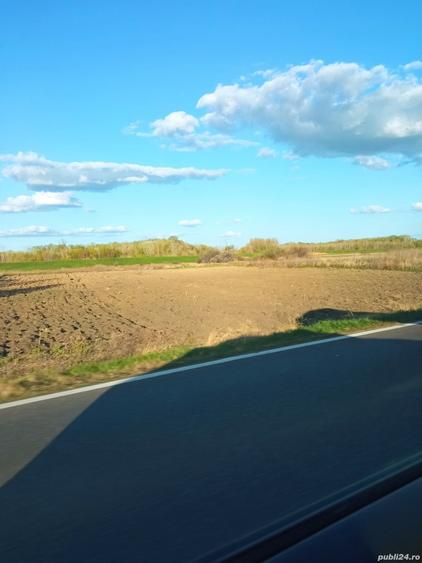 Teren de 5000 mp, în Drânceni