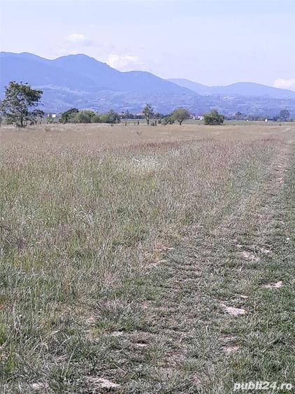 Teren de 8600 mp, în Central