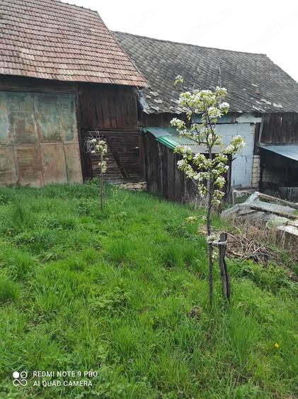 Casă cu 2 camere cu Teren 960 Mp în Ardeova