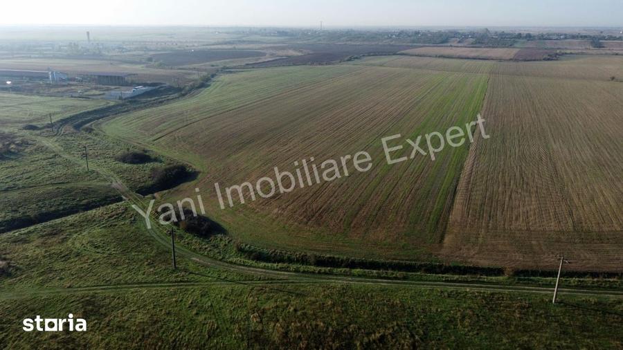 Teren de 10000 mp, în Căteasca