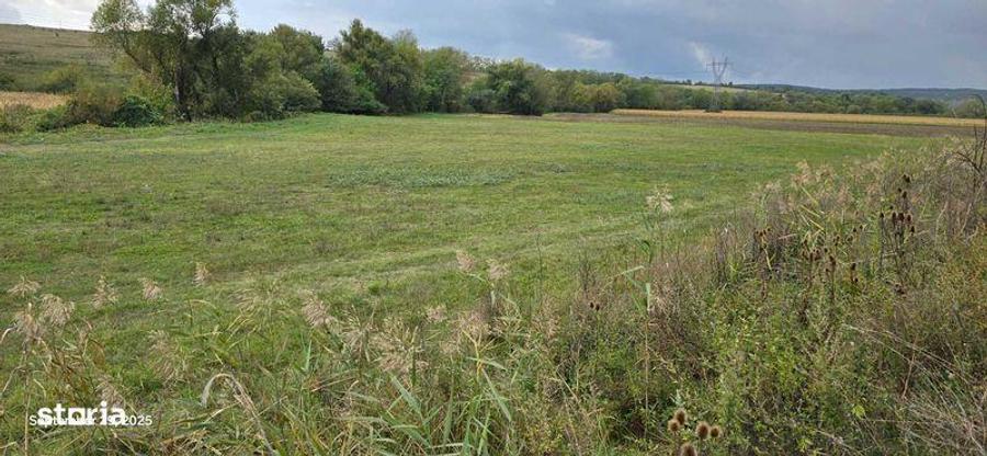 Teren extravilan 5,8 ha - 5