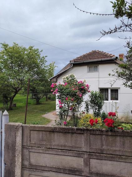 Casă cu 2 camere cu Teren 2500 Mp în Peșteana
