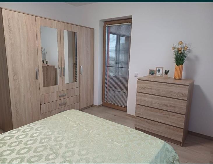 Apartament cu 2 camere decomandat în Viișoara