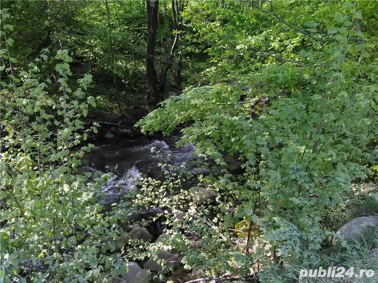 Teren de 5500 mp, în Pietroasa
