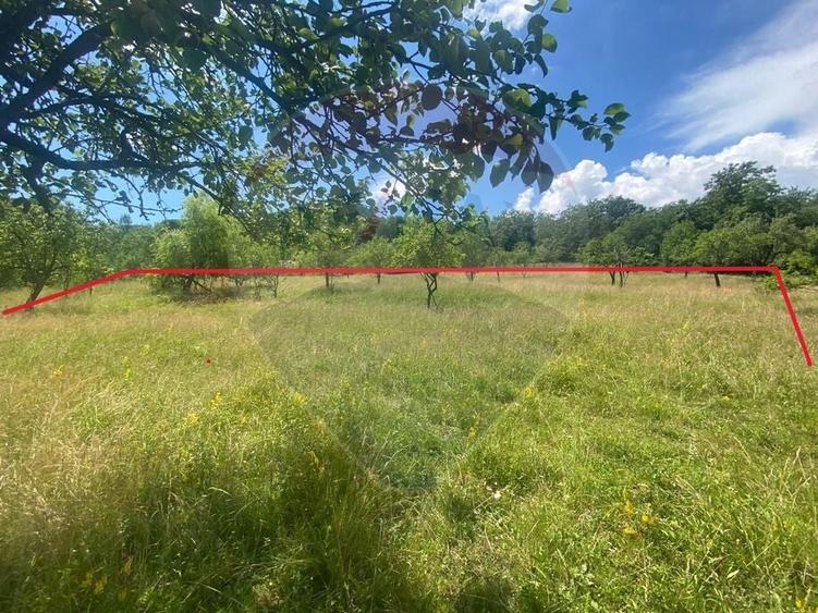 Teren Construcții intravilan de 12458 mp, în Văleni (Meteș)