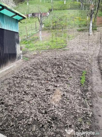 Vand casa la Nadrag zona linistita foarte aproape de centru - 4