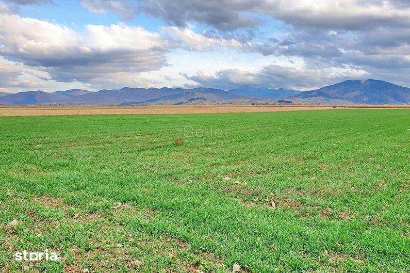 Teren de 8400 mp, în Central