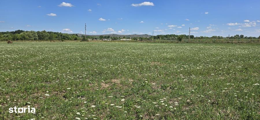 Teren in zona Rascruci ideal pentru hala, toate utilita?ile - 9