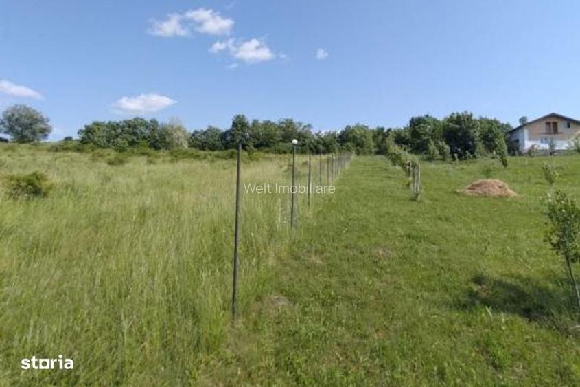 Teren intravilan 2.673 mp | Feiurdeni, Chinteni