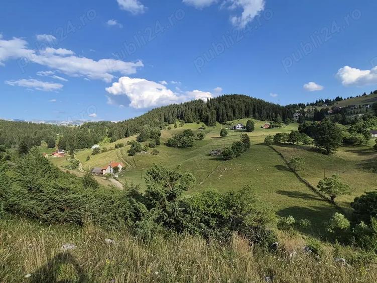 Teren de 6300 mp, în Fundata