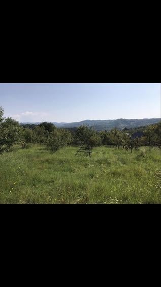 Teren de 14523 mp, în Văleni-Dâmbovița