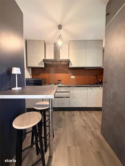 Copou - Parc , apartament 2 camere , 50 mp , amenajat modern - 3