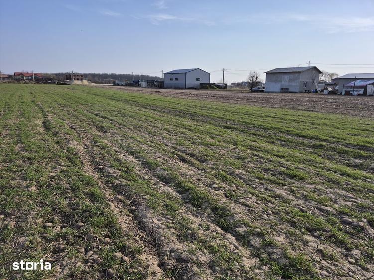Teren de 4999 mp, în Tărtășești