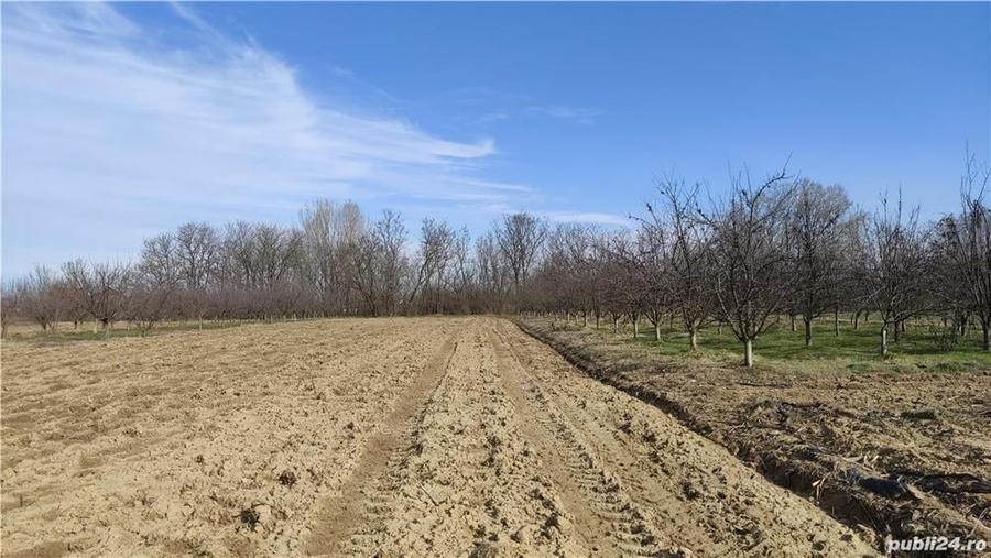 Teren de 2500 mp, în Sud