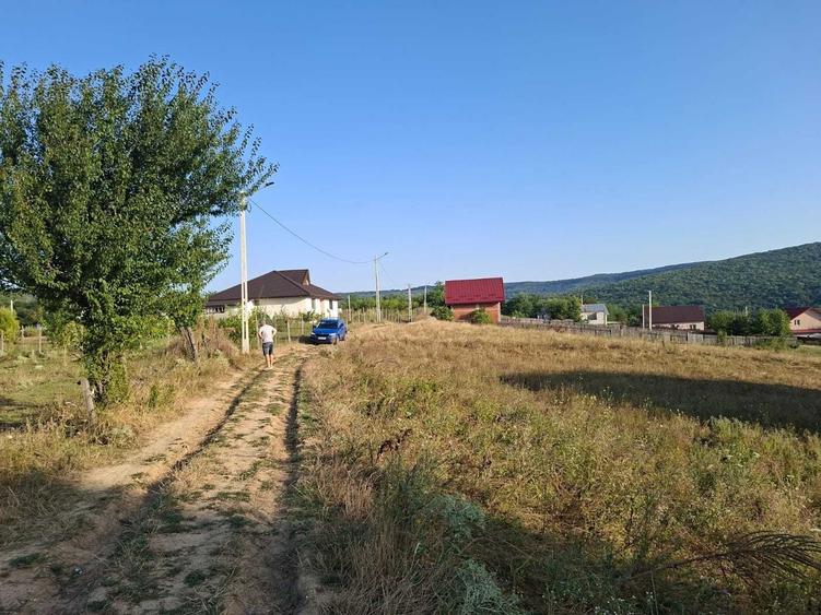 Teren de 1000 mp, în Bârnova