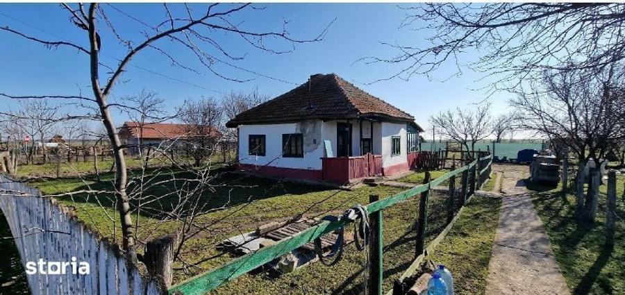 Cota 1/2 din casa si teren- Comuna Cocora, Judetul Ialomita - 4