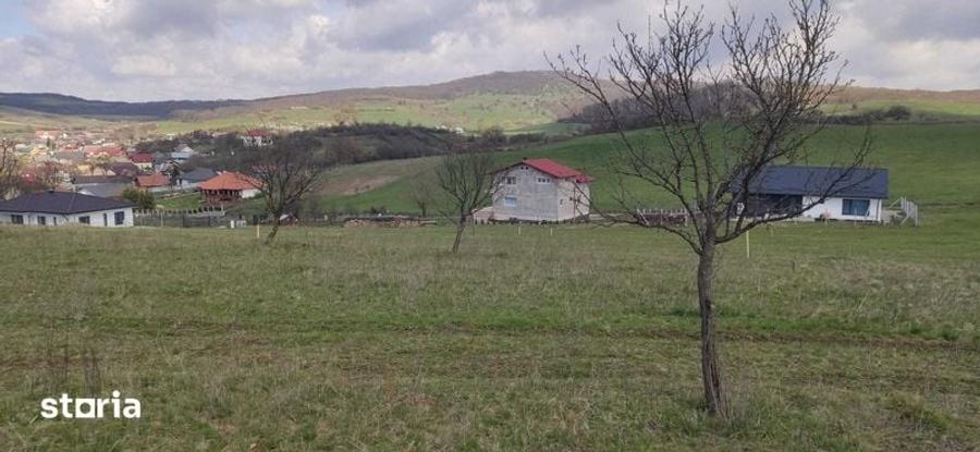 Teren de 1000 mp, în Central