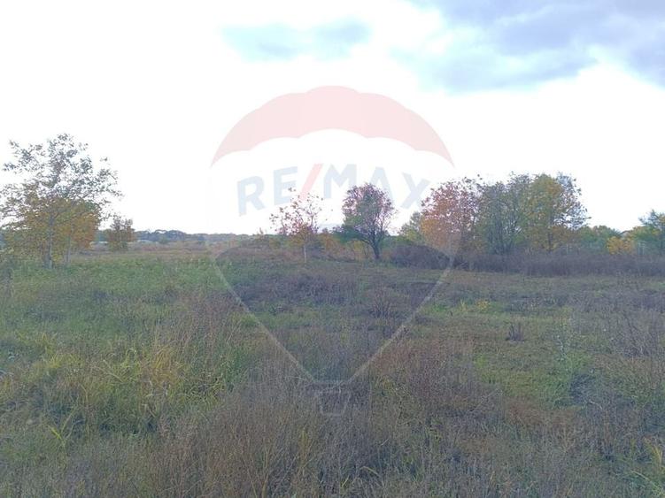 Teren Construcții intravilan de 2056 mp, în Ciolpani