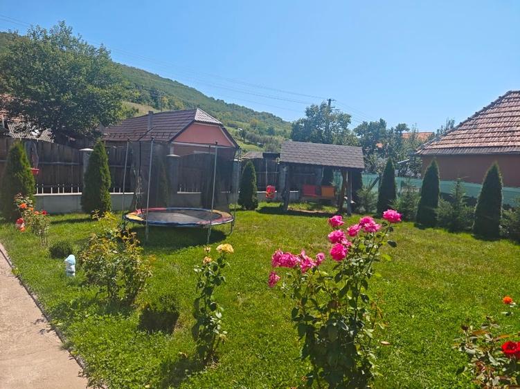 Casă individuală cu 2 camere cu Canalizare în Dipșa
