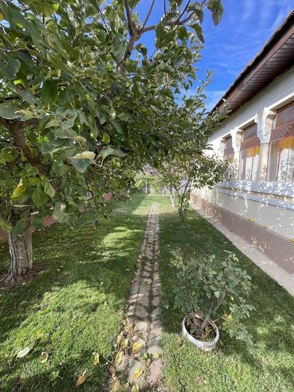 Casă cu 3 camere cu Teren 1500 Mp în Central