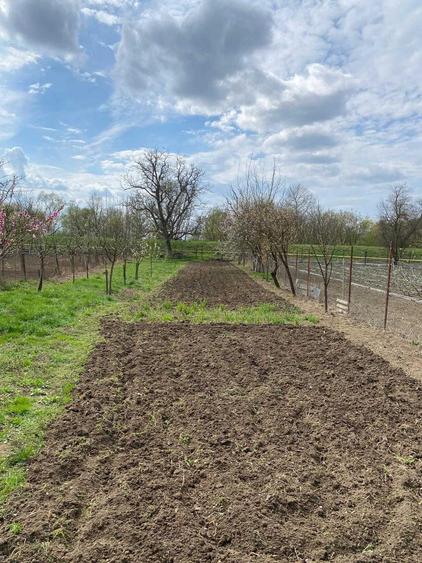 Casă cu 4 camere în Gelmar