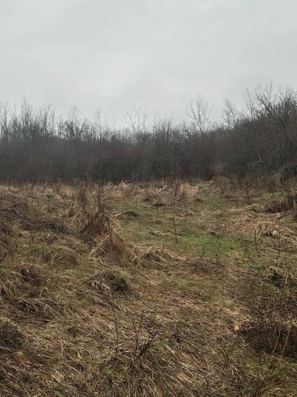 Teren de 2200 mp, în Gornet