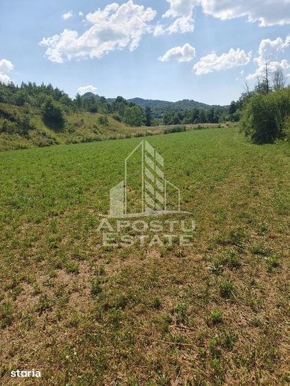 Teren de 2848 mp, în Lunca Cernii de Jos